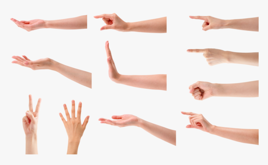 Hand Palm Png, Transparent Png