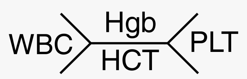 Hematology Fishbone Schematic - Circle, HD Png Download