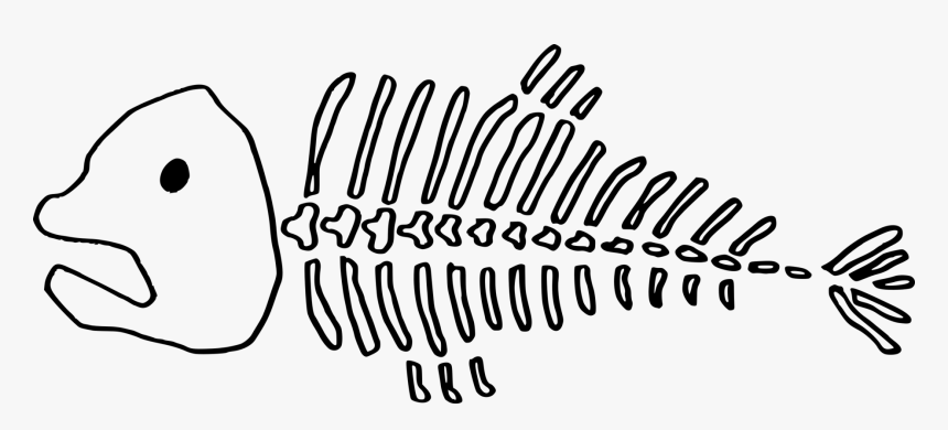 Art,monochrome Photography,text - Dead Fish Bones Png, Transparent Png