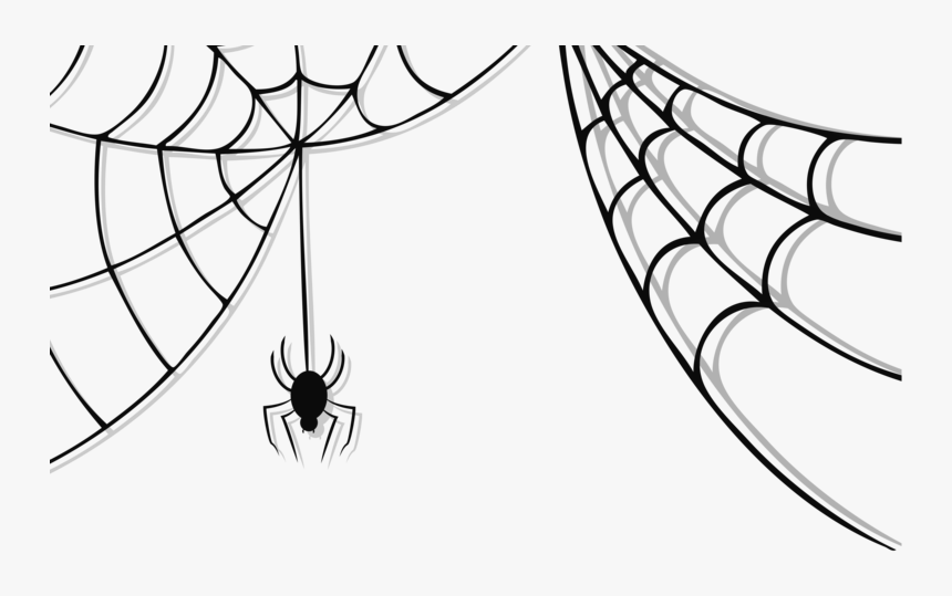 Spider Web No Background, HD Png Download