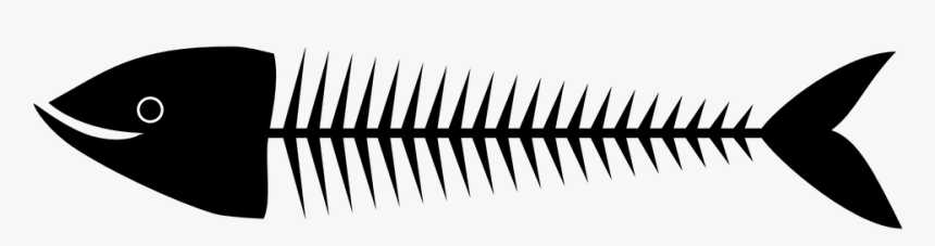Fishbones, Fish, Skeleton, Dead, Black, Bones, Sardine - Espinas De Pez Png, Transparent Png
