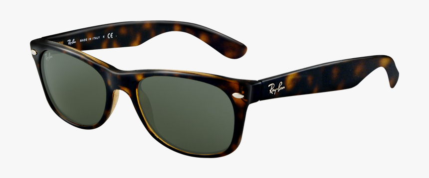 Tortoise Frame G 15, HD Png Download