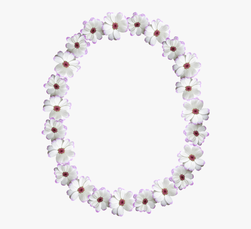 Frame, Border, Oval, White Flower - Greeting Card, HD Png Download