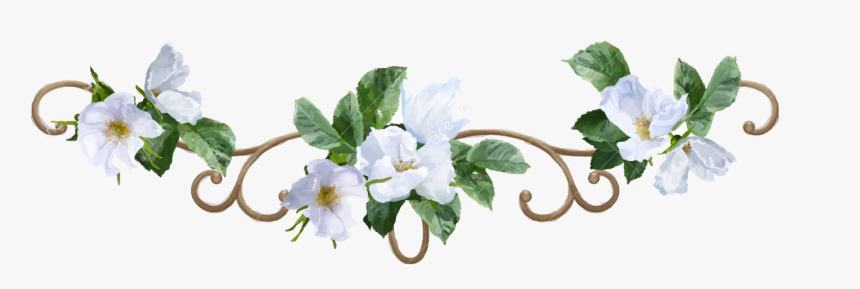 Animal Jam Clans Wiki - White Floral Border Transparent Background, HD Png Download