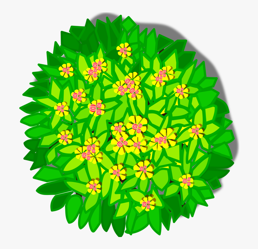 Transparent Trees Top View Png - Top View Of Trees Clipart Png, Png Download