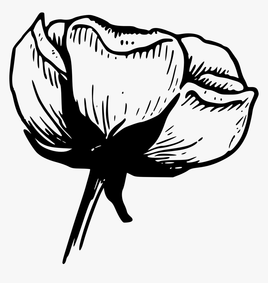 Flower Black And White Black And White Flower Border - Black And White Photo Simple, HD Png Download