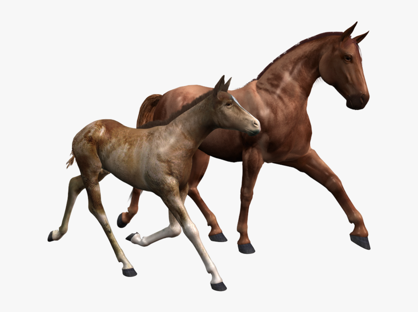 Breyer Valentine And Heartbreaker, HD Png Download