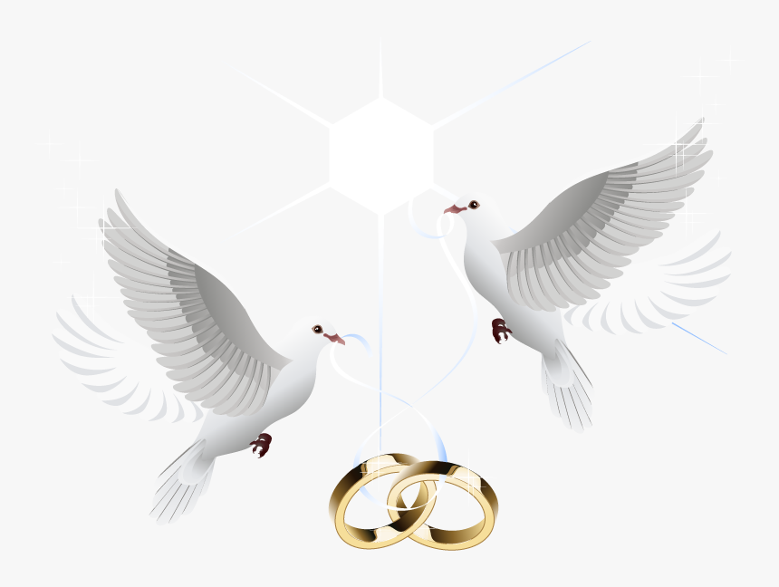 Ring Vector Marriage Wedding Download Hd Png Clipart - Transparent Wedding Dove Png, Png Download