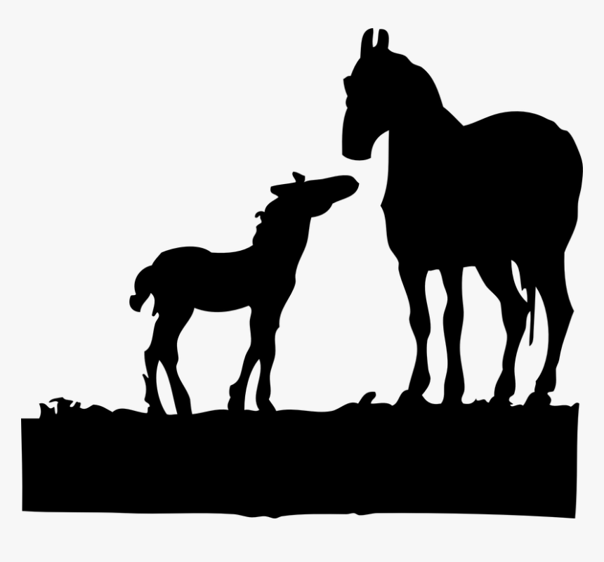 Foal, Horses, Silhouette, Animals, Mare, Standing - Mare And Foal Silhouette, HD Png Download