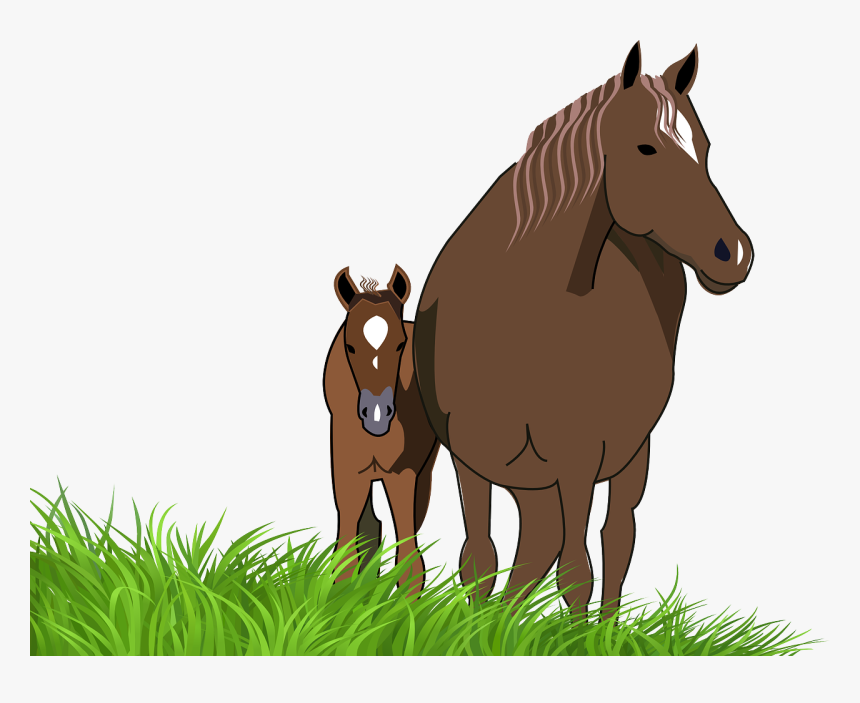 Horse And Foal Clipart, HD Png Download