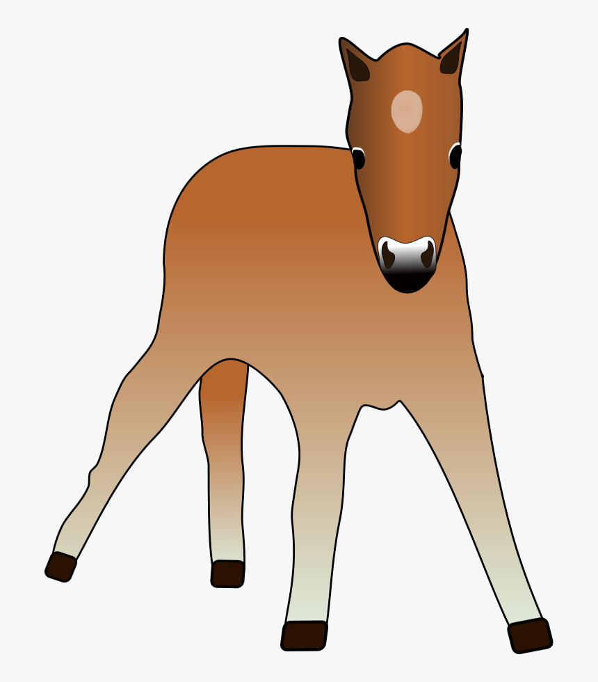 Young Foal Svg Clip Arts - Cliparts Foal, HD Png Download