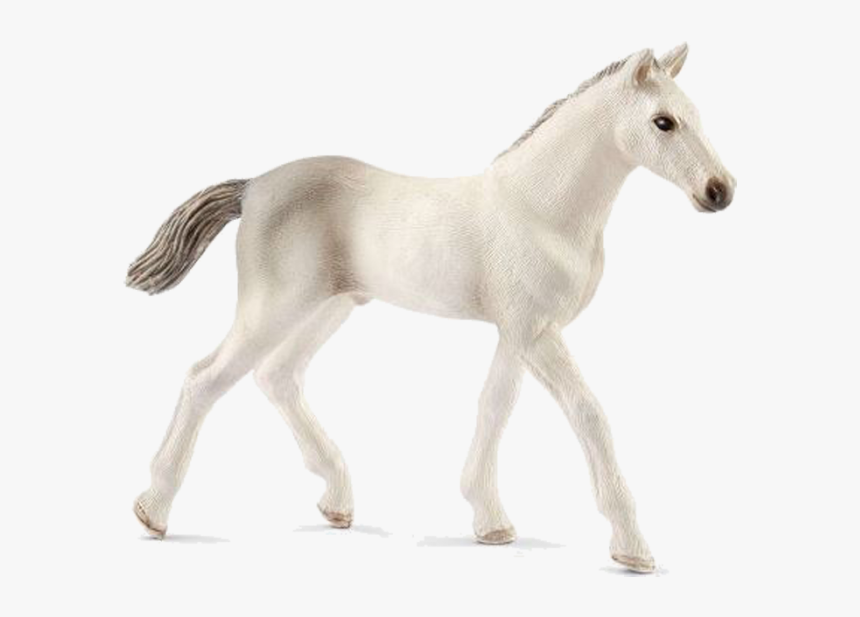 Schleich Horse Foal, HD Png Download