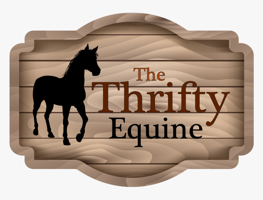 The Thrifty Equine - Foal, HD Png Download