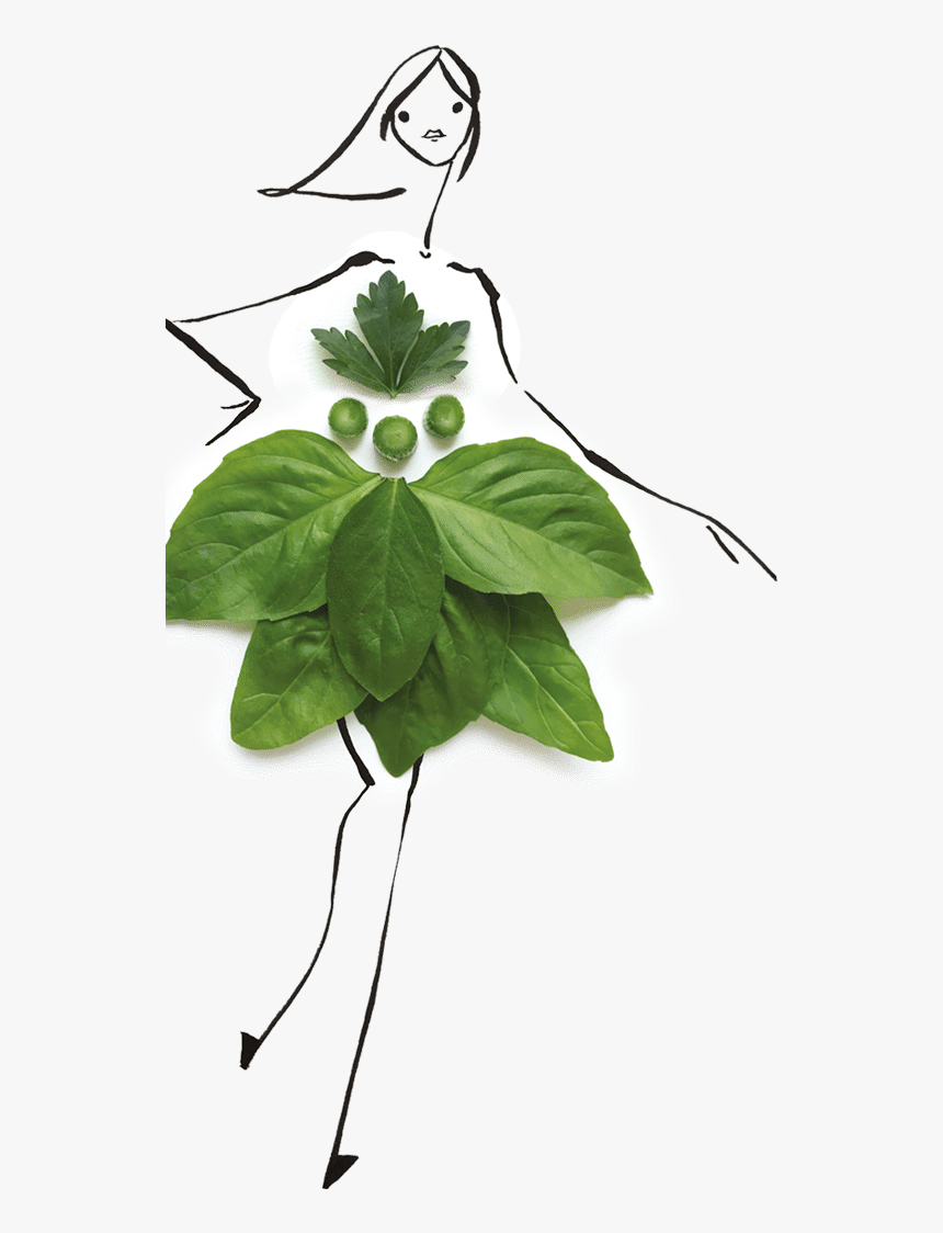 Ylang-ylang, HD Png Download