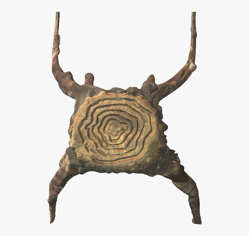 Top View Tree - Chair, HD Png Download