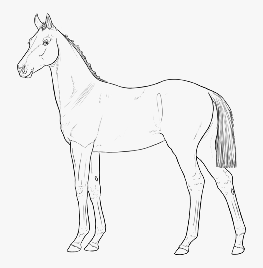 Horse And Foal Elegant Country Scarecrow Awesome - Mane, HD Png Download