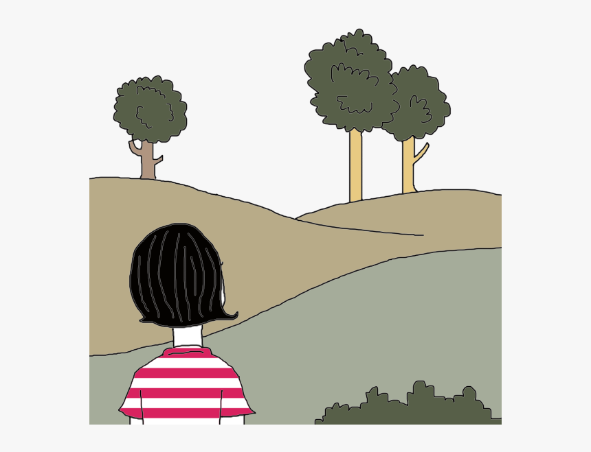 Transparent Pine Tree Top View Png - Illustration, Png Download