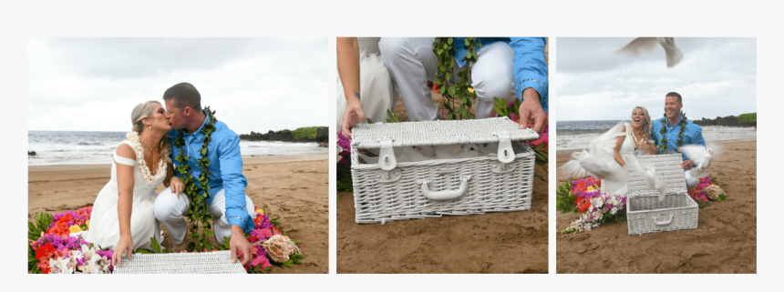 Dove Release - Garden Roses, HD Png Download