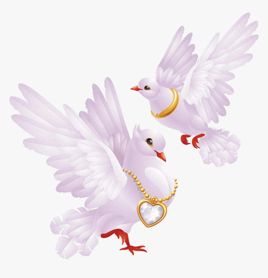 Pin By Aynur Bobaro Lu On Bride - Dove For Wedding Png, Transparent Png