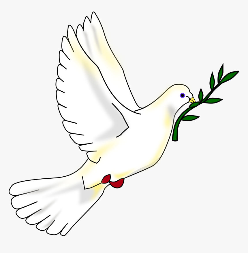 Clip Art Dove With Olive Branch Clipart - Imagen De La Paloma De La Paz, HD Png Download