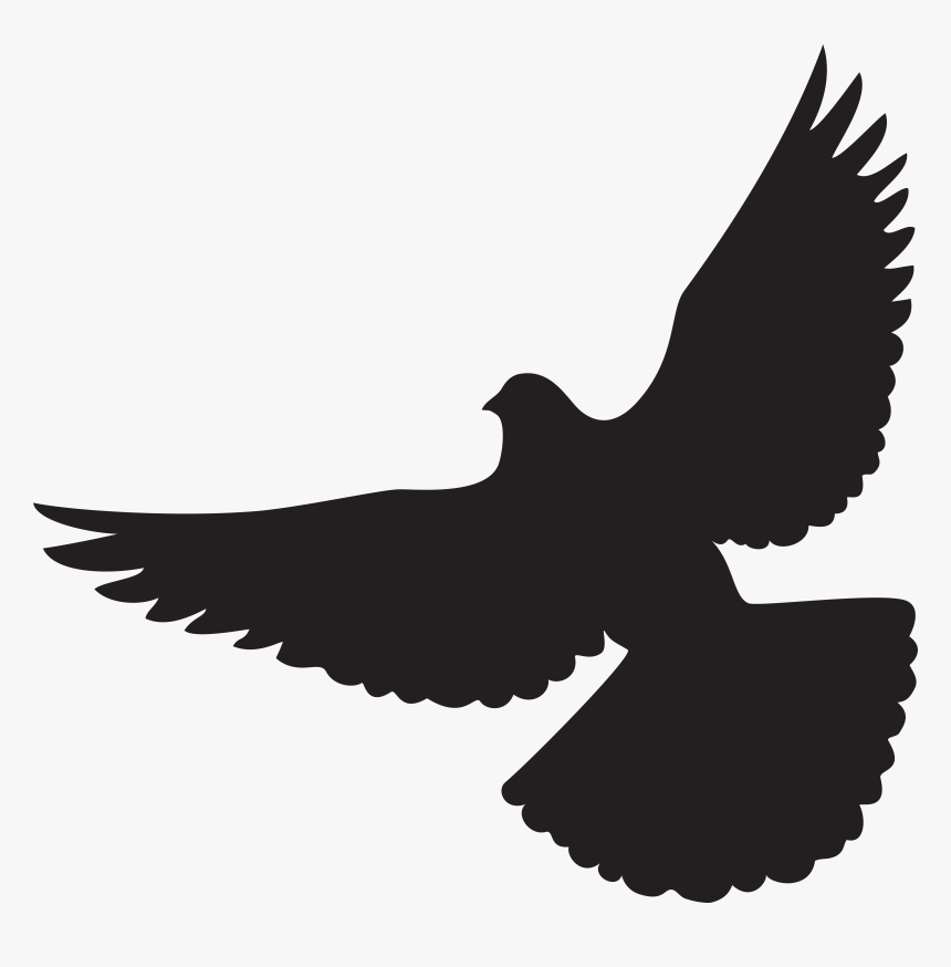 Columbidae Silhouette Clip Art, HD Png Download