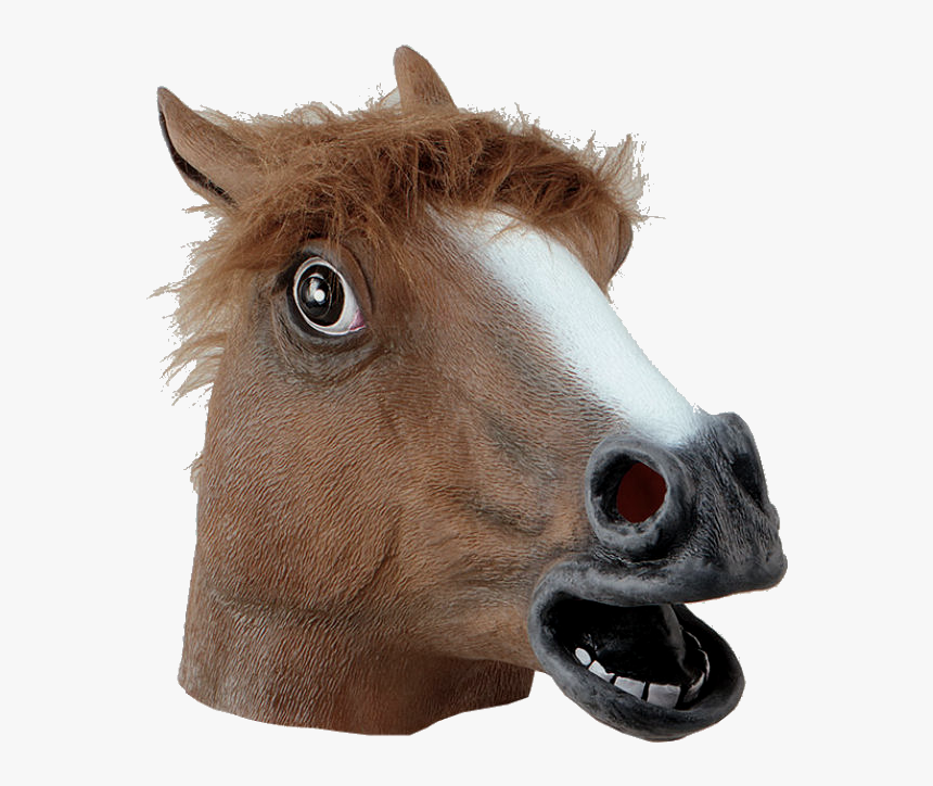 Transparent Cougar Head Clipart - Transparent Horse Head Png, Png Download