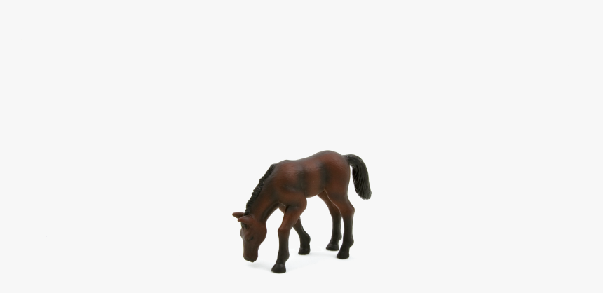 Stallion, HD Png Download