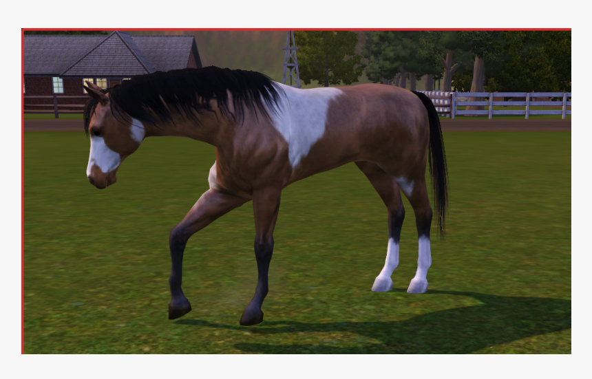 Stallion, HD Png Download