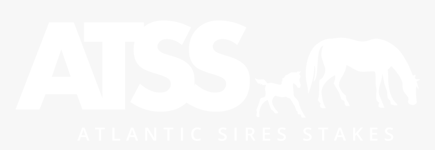 Stallion, HD Png Download