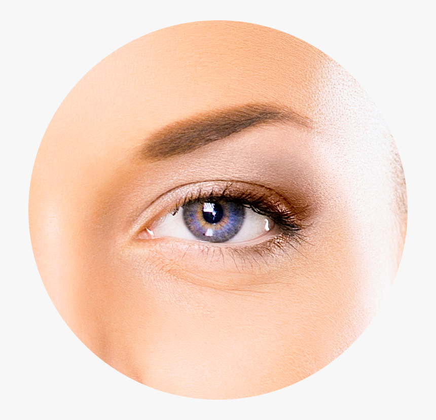 The External Eye Diagram - Eye, HD Png Download