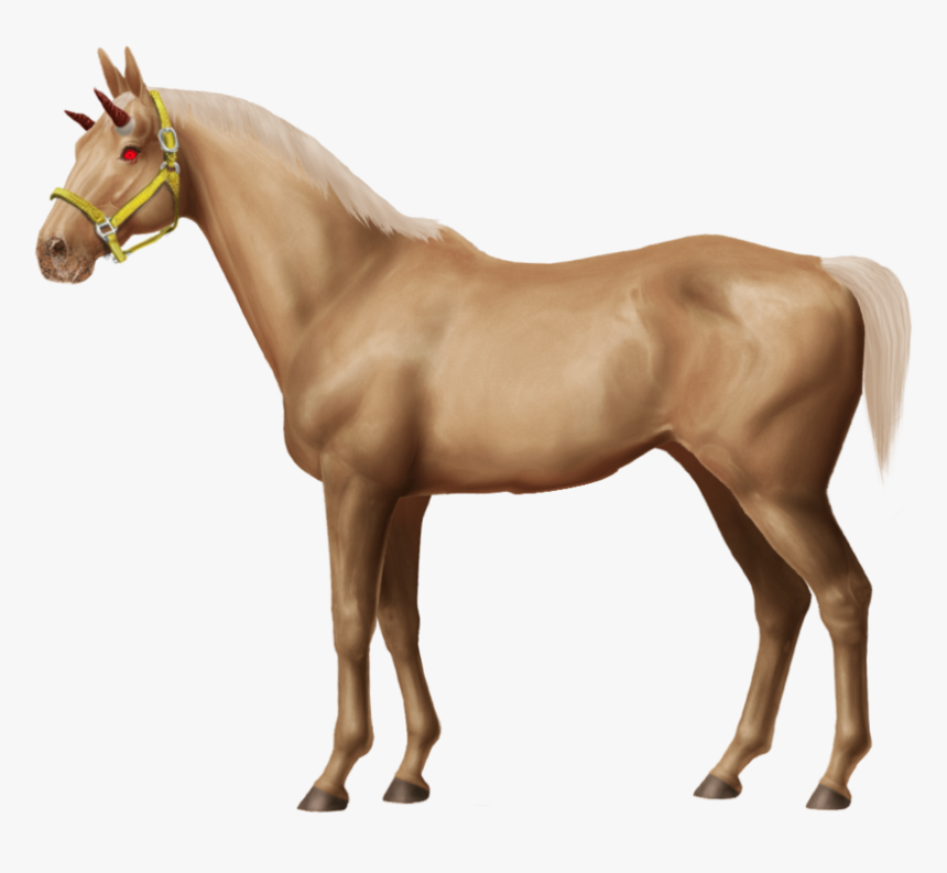 Baby Horse Png , Png Download - Horseworldonline Png, Transparent Png