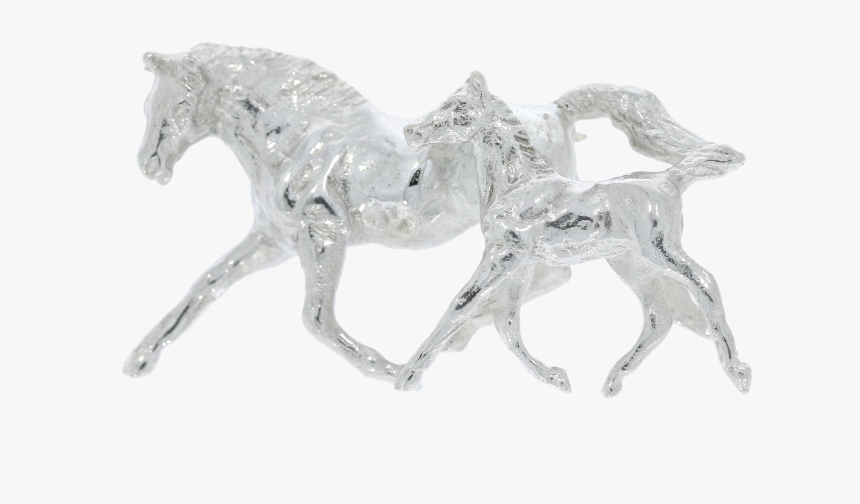 Foal, HD Png Download