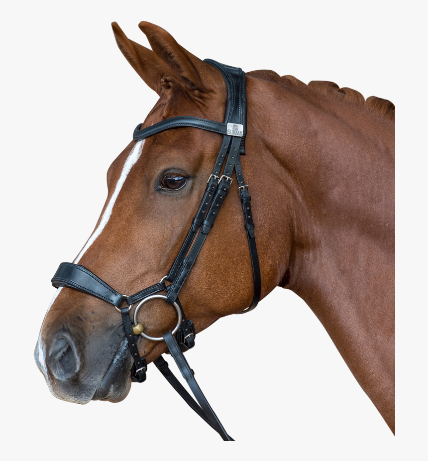 Transparent Horse Mask Png - Fairfax Drop Noseband Bridle, Png Download
