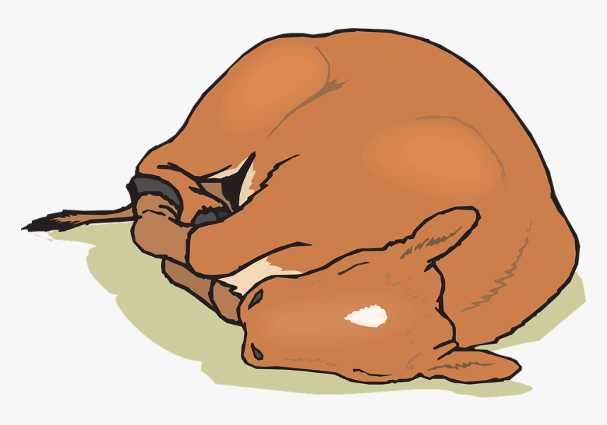 Sleeping Cow Png - Horse Sleep Png, Transparent Png