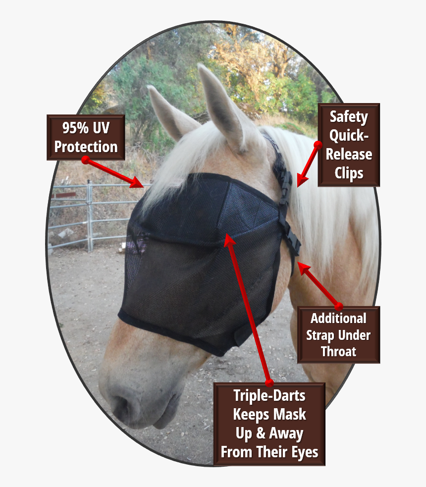 Horse Head Mask Png, Transparent Png