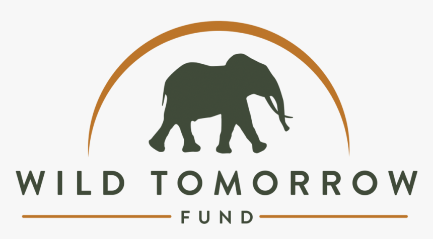 Transparent Wild Animal Png - Wild Tomorrow Fund Logo, Png Download