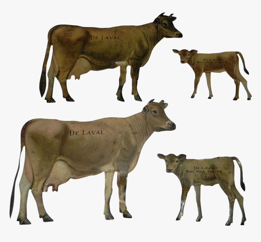 Dairy Cow, HD Png Download
