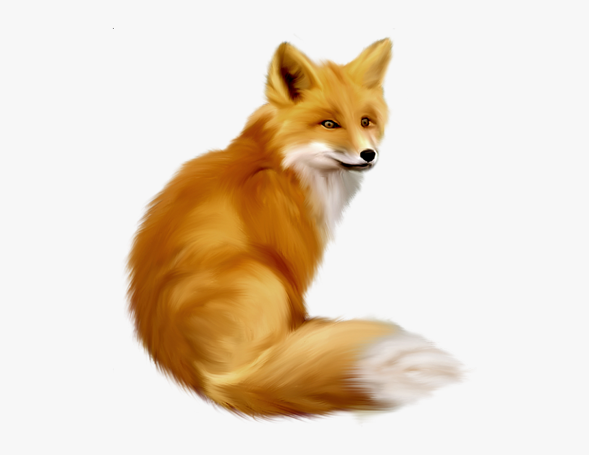 Fox Clipart Realistic, HD Png Download , Transparent Png Image PNGitem