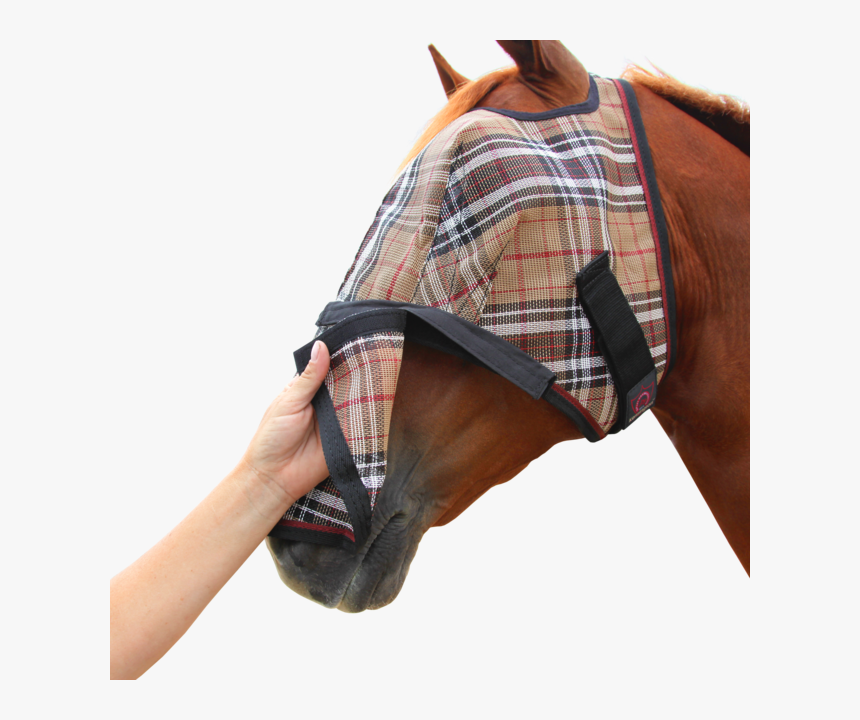 Tartan, HD Png Download