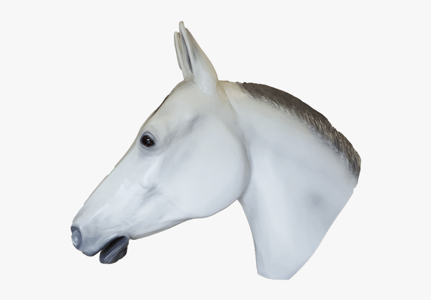 Life Size Display Grey Quarter Horse Head Looking Left - Stallion, HD Png Download