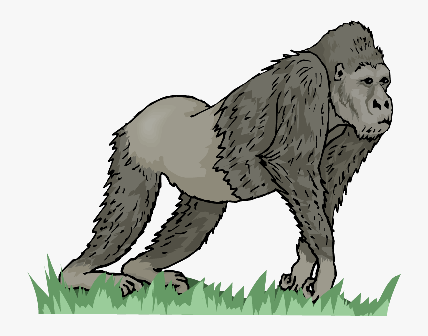 Gorilla Clipart Wild Animal - Long Vowel Ape, HD Png Download