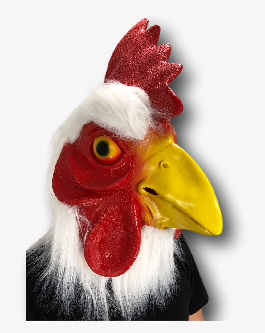 Horse Head Mask Png, Transparent Png