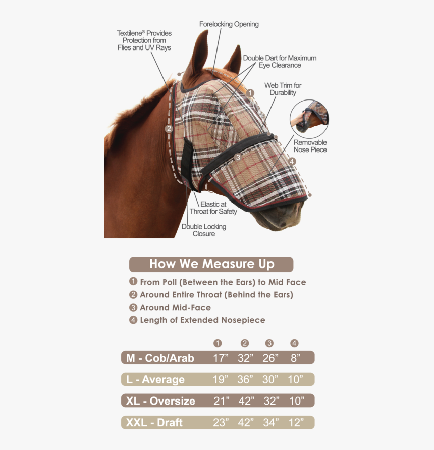 Measure A Horse For A Fly Mask, HD Png Download