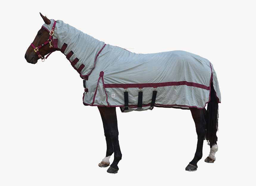 Fly Mask, HD Png Download