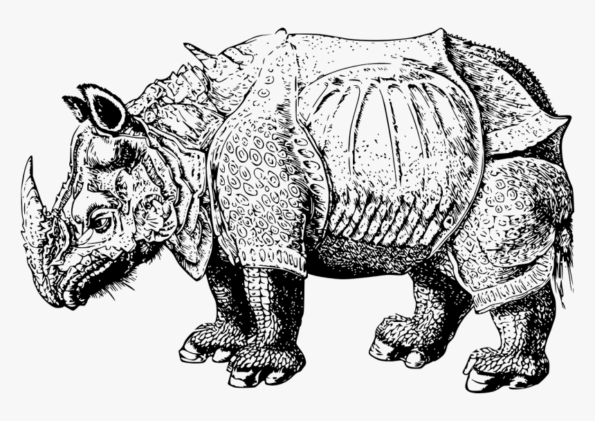 Renaissance Rhino, HD Png Download