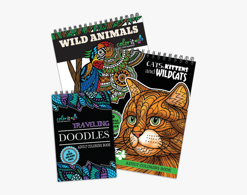 Domestic Short-haired Cat, HD Png Download