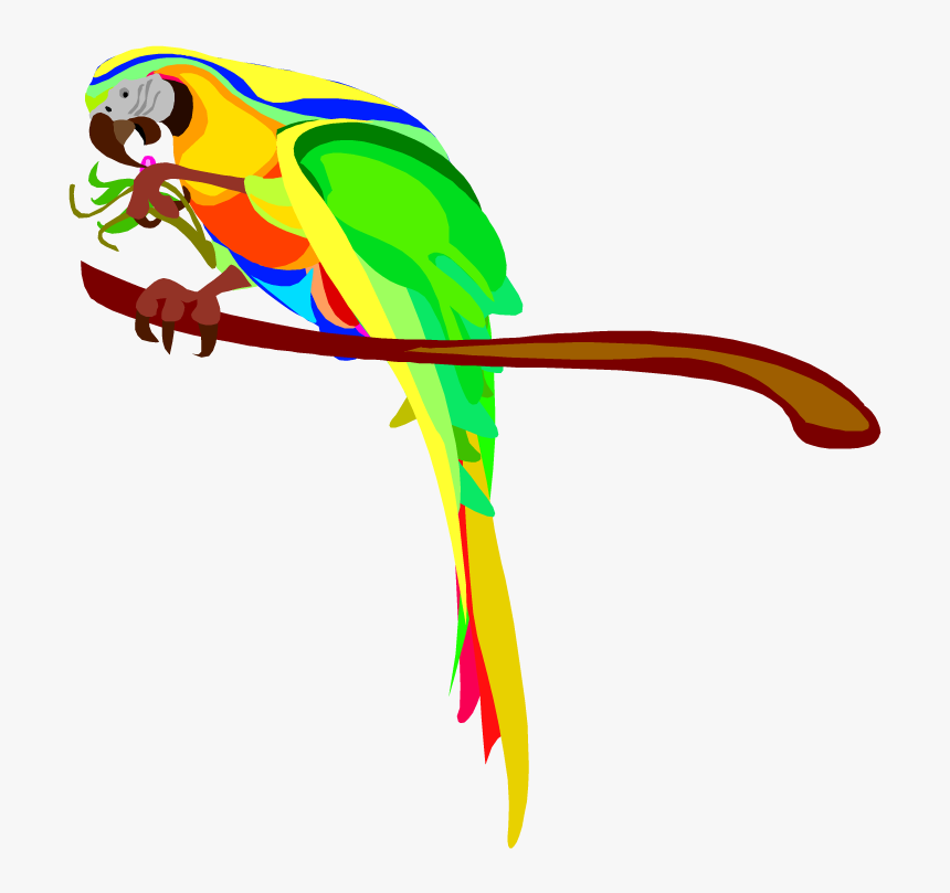 Macaw Parrot Clip Art Clipart Free Clipart - Australian Parrots Clipart, HD Png Download