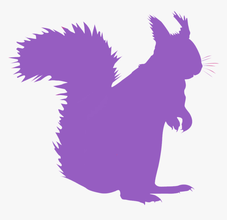 Squirrel Hip Hip Hooray Clipart Pgmhsy Clipart - Illustration, HD Png Download