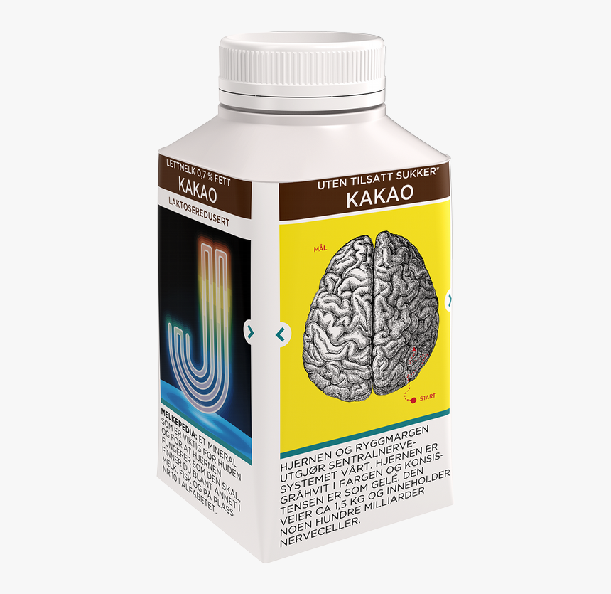 Medicinal Mushroom, HD Png Download