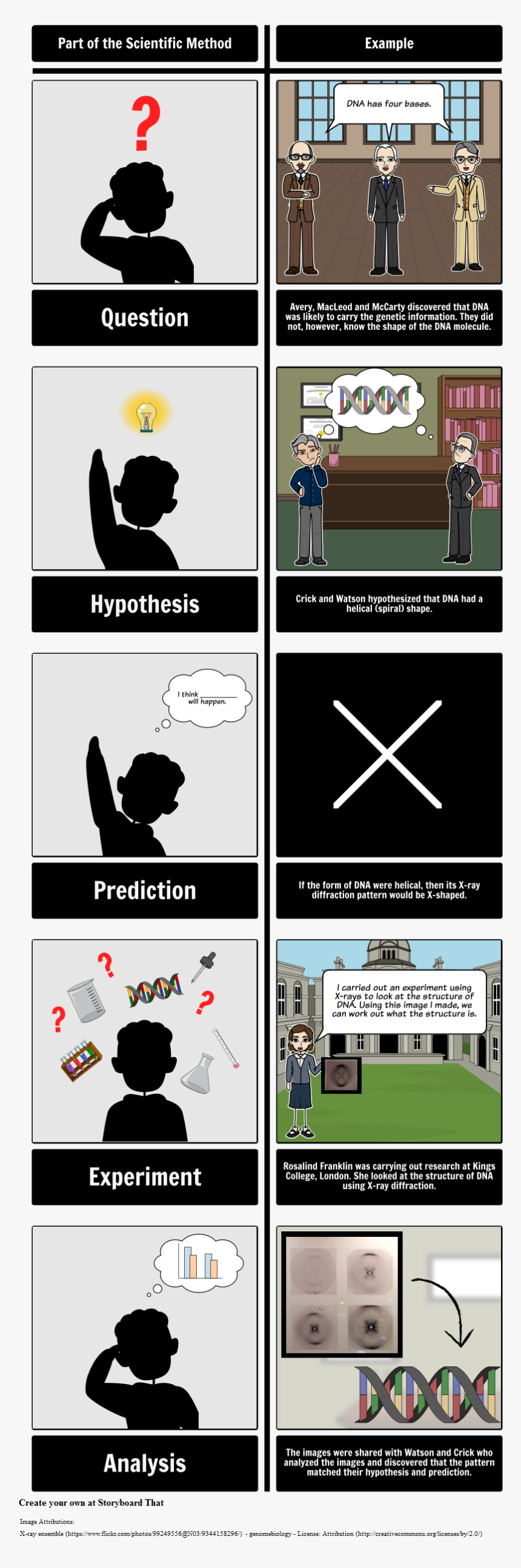 Scientific Method With Dna 
 Style Max Width - Vitenskapelig Metode, HD Png Download